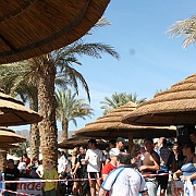 מים פתוחים אילת נובמבר 2008 203